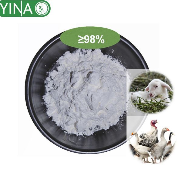 Praziquantel Powder